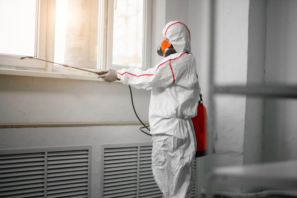Professional mold remediation services in Coshocton, OH